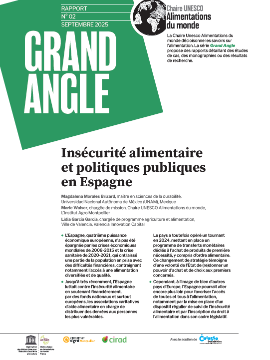 couverture Insécurité alimentaire et politiques publiques en Espagne
