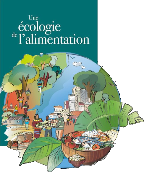 couverture Faux L’agriculture et les systèmes alimentaires du monde face aux changements climatiques 