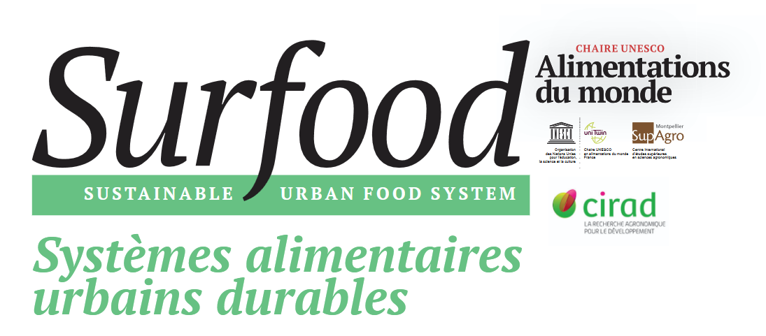 couverture Télécharger le rapport Surfood