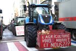 Alimentation durable&nbsp;: de convaincre à combattre
