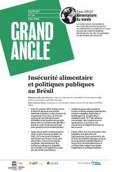 Insécurité alimentaire et politiques publiques au Brésil