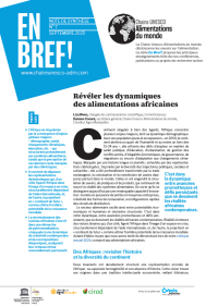 illustration : Révéler les dynamiques des alimentations africaines