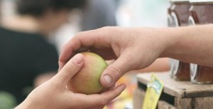 illustrtation article : 2024 / Rencontres sciences-société&nbsp;: pour des solidarités alimentaires