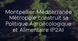illustrtation article : Reportage sur la P2A de la Métropole de Montpellier