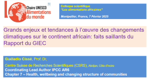 illustrtation article : Enjeux et tendances à l’œuvre des changements climatiques sur le continent africain - Guéladio Cissé
