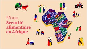 illustrtation article : MOOC&nbsp;: Sécurité Alimentaire en Afrique