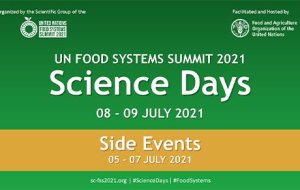 illustrtation rubrique : 2021 - Priorities for inclusive urban food transformations in the global South