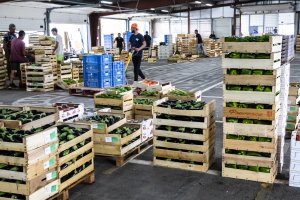 illustrtation article : TerrAsol, c’est parti&nbsp;!