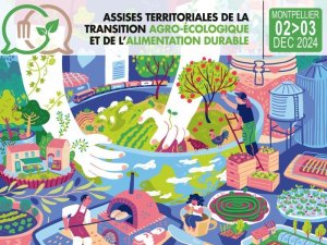 illustrtation article : 2024 / Les assises territoriales de la transition agroécologique et de l’alimentation durable (Montpellier)