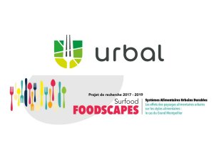 illustrtation article : Surfood