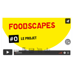 illustrtation article : Vidéothèque du projet