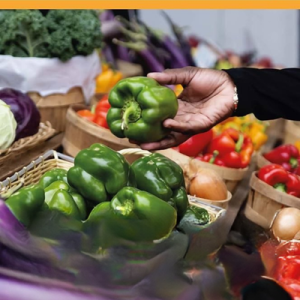illustrtation rubrique : Transforming Food Systems - Narratives of Power