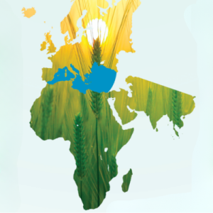 illustrtation rubrique : 2017 / Conférence internationale 