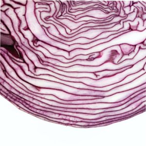 illustrtation article : Construire de nouvelles formes de solidarités alimentaires