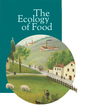 illustrtation article : Food in politics
