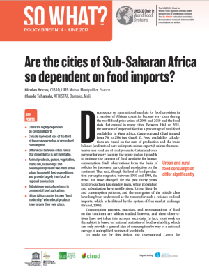 illustration So what : Are the cities of Sub-Saharan Africa so dependent on food imports?