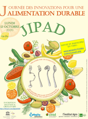 illustrtation article : JIPAD 2020