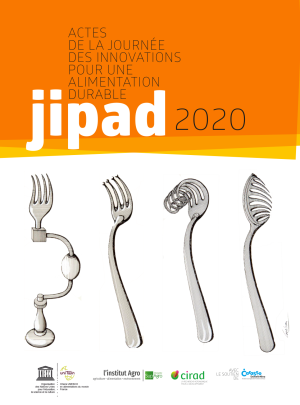 illustrtation rubrique : JIPAD 2020 v_import
