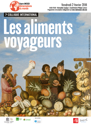 illustrtation article : «&nbsp;Le voyage des plantes et les grandes découvertes&nbsp;»