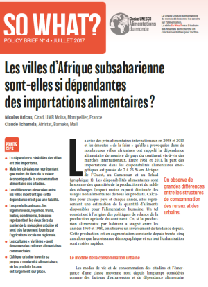 illustrtation So what : N°&nbsp;4/ Les villes d’Afrique subsaharienne sont-elle si dépendantes des importations alimentaires&nbsp;?