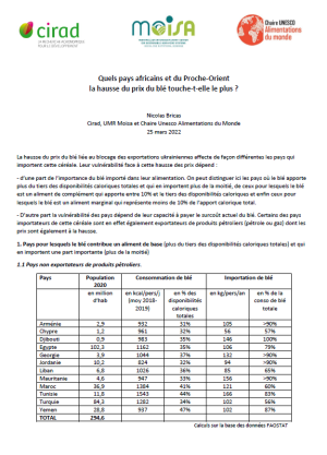 illustration So what : Quels pays africains et du Proche-Orient la hausse du prix du blé touche-t-elle le plus&nbsp;?