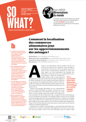 illustrtation article : Comment la localisation des commerces alimentaires joue sur les approvisionnements des ménages&nbsp;?