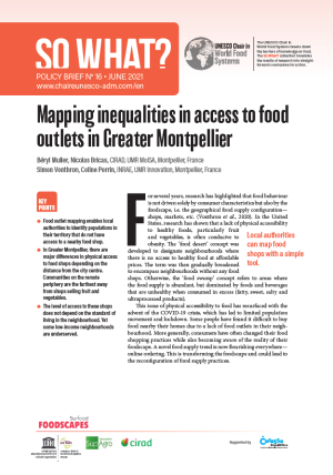 illustrtation article : 16/ Mapping inequalities in access to food  outlets in Greater Montpellier