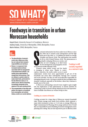 illustrtation article : 11/ Foodways in transition in urban Moroccan households