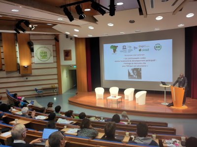 illustration Rapport d’activités 2025