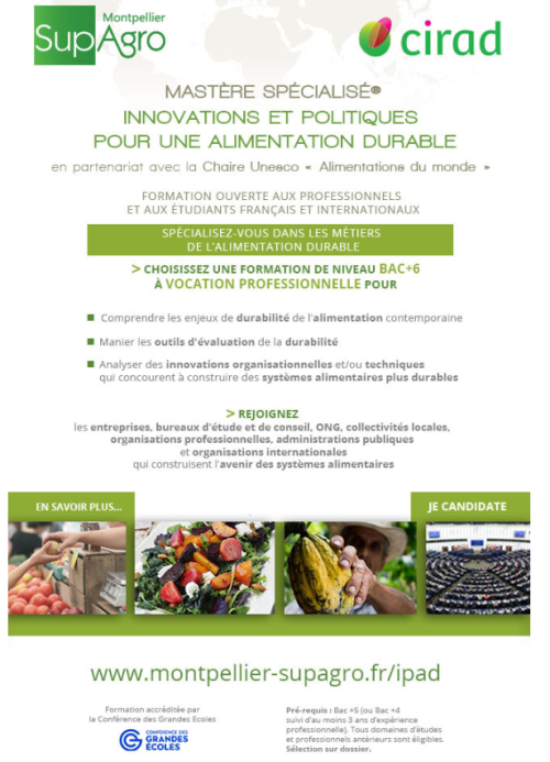Mastère spécialisé® IPAD