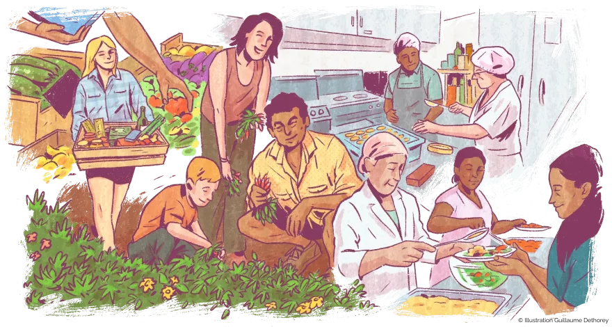 Solidarités alimentaires